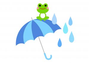 雨