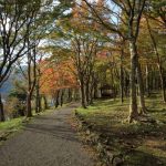 芦ノ湖の紅葉2016の見頃の時期は？周辺の観光スポットとお勧めランチ