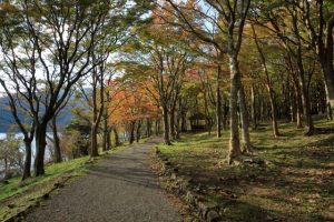 芦ノ湖の紅葉