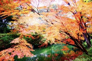 紅葉